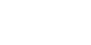 Caveco Logo White